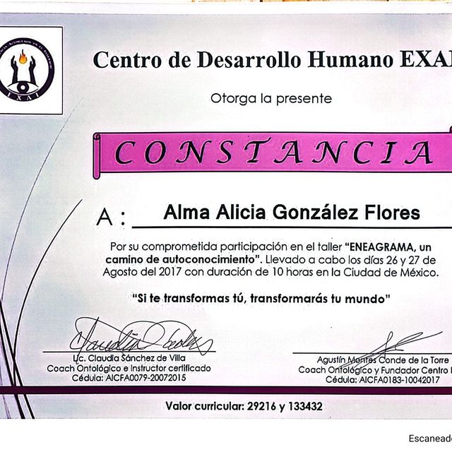 Ampliar imagen: certificate 14