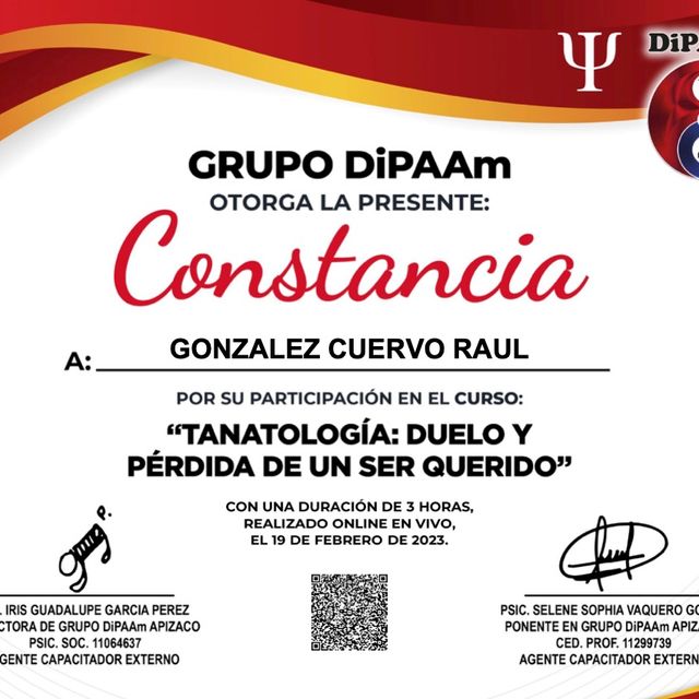 Ampliar imagen: certificate 5