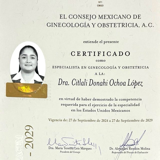 Ampliar imagen: certificate 3