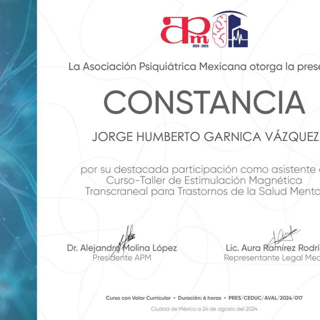 Ampliar imagen: certificate 5