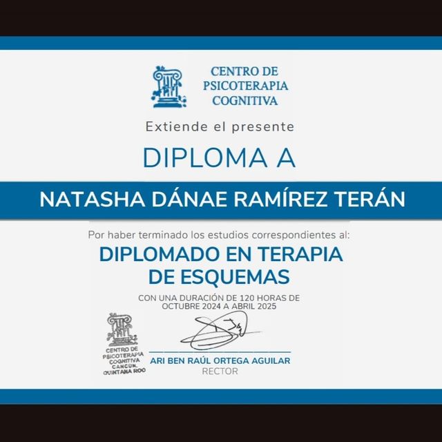 Ampliar imagen: certificate 2