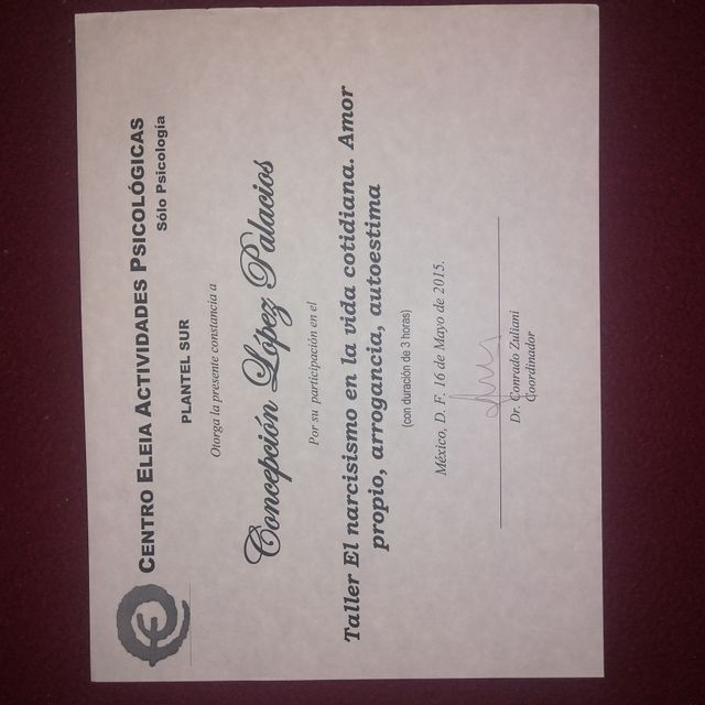 Ampliar imagen: certificate 19