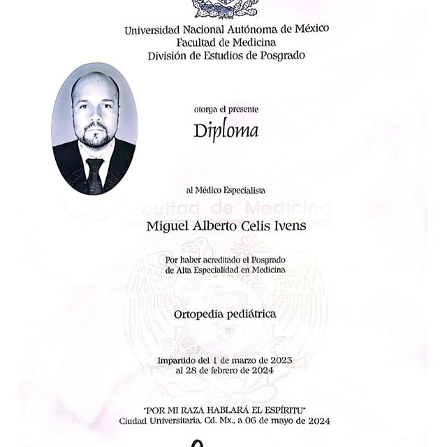 Ampliar imagen: certificate 1