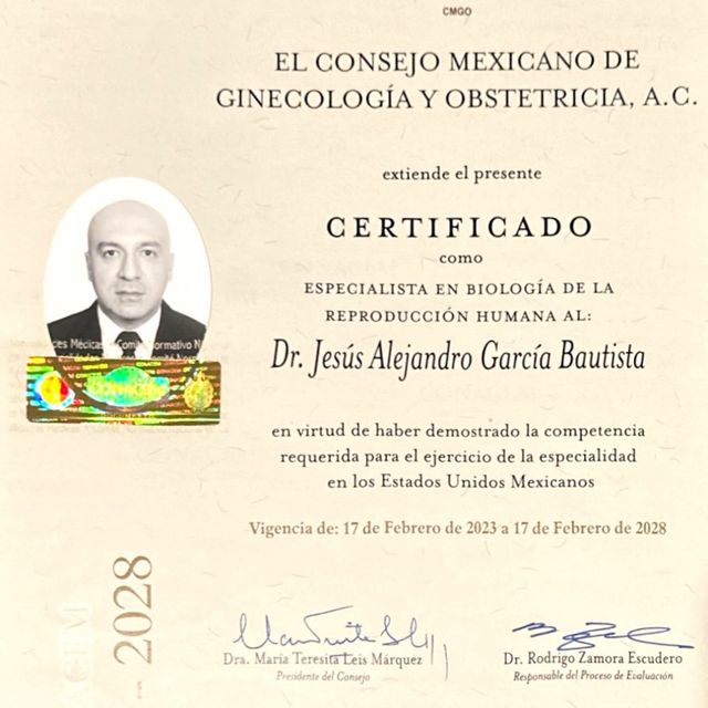 Ampliar imagen: certificate 2