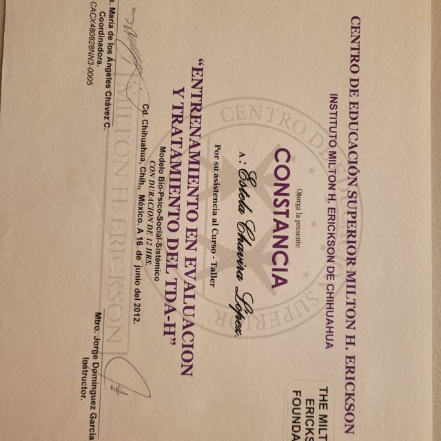 Ampliar imagen: certificate 5