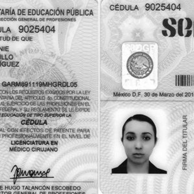 Ampliar imagen: certificate 5