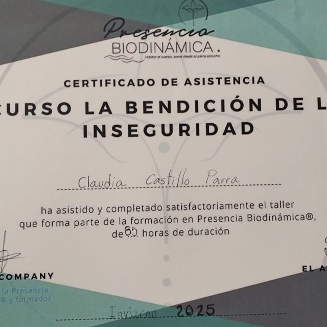 Ampliar imagen: certificate 2
