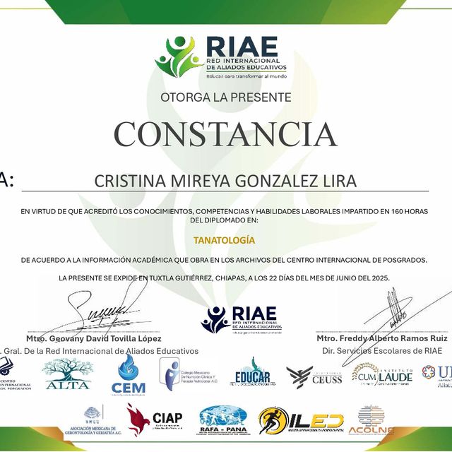 Ampliar imagen: certificate 7