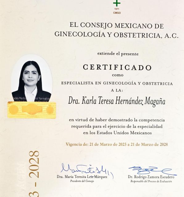 Ampliar imagen: certificate 2