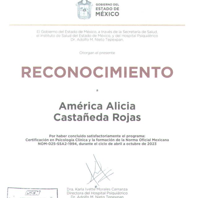 Ampliar imagen: certificate 3