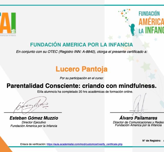 Ampliar imagen: certificate 1