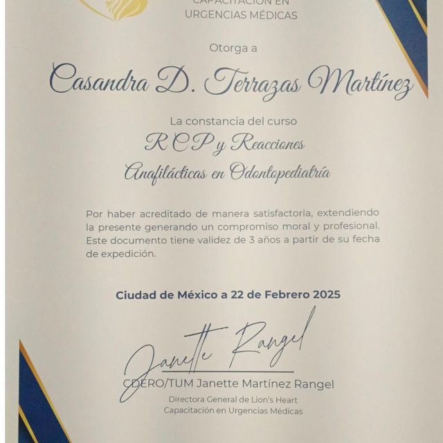 Ampliar imagen: certificate 9