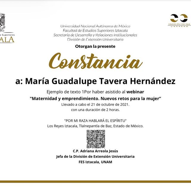 Ampliar imagen: certificate 41