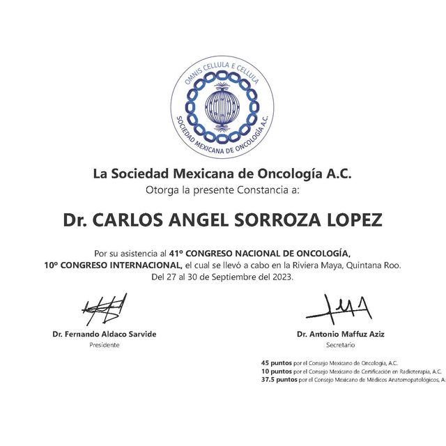 Ampliar imagen: certificate 3