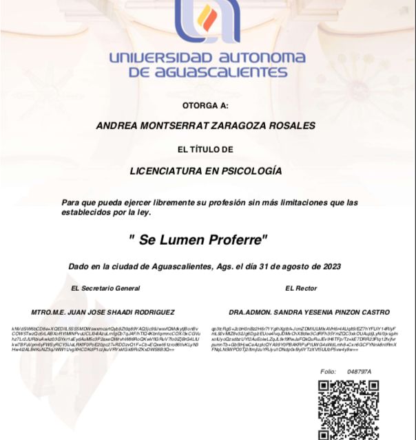 Ampliar imagen: certificate 5