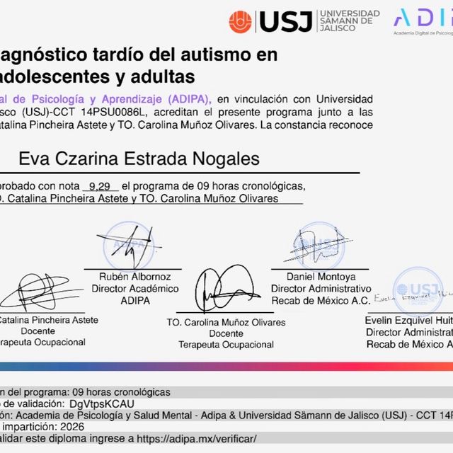Ampliar imagen: certificate 2
