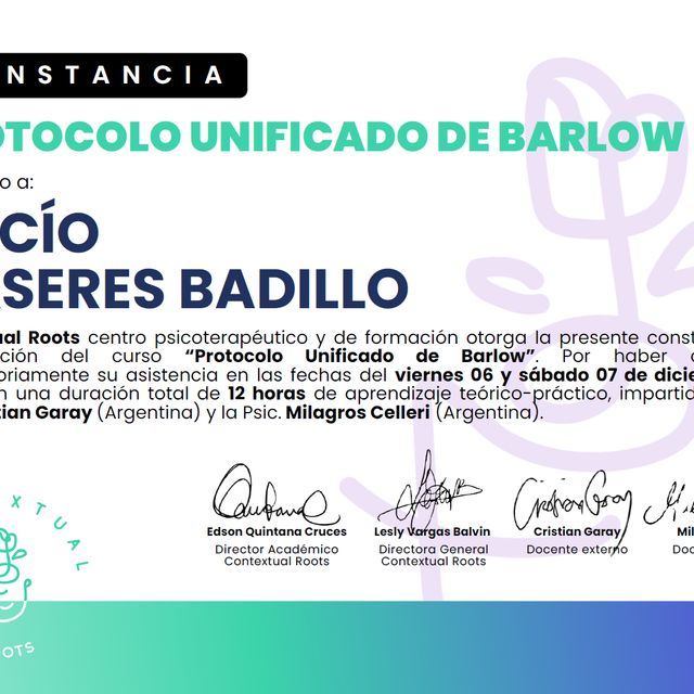 Ampliar imagen: certificate 14