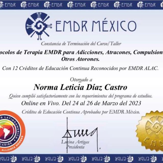 Ampliar imagen: certificate 2