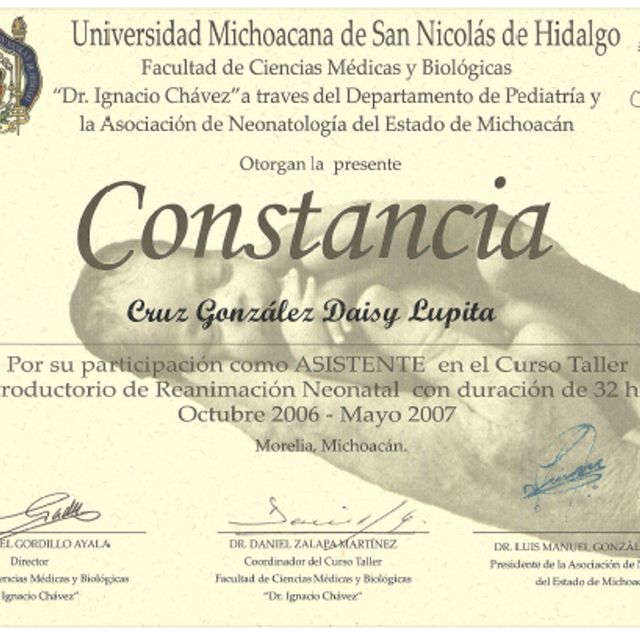 Ampliar imagen: certificate 13