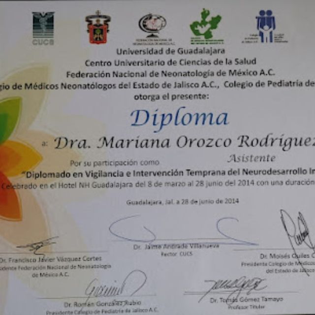 Ampliar imagen: certificate 2
