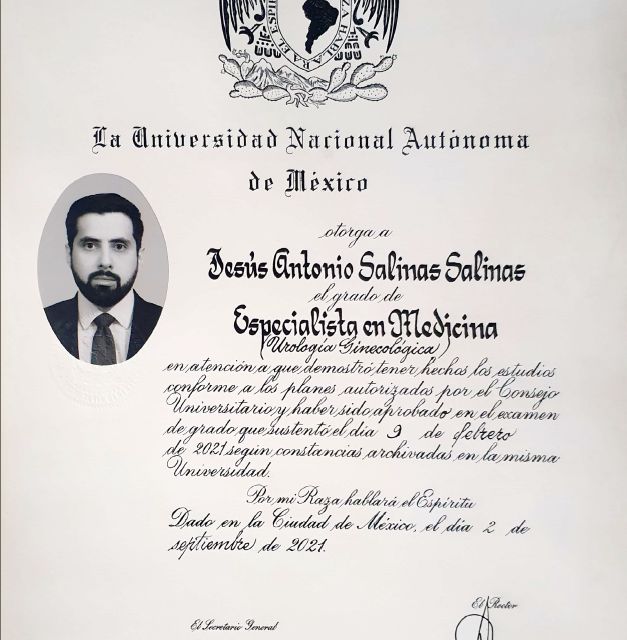 Ampliar imagen: certificate 1