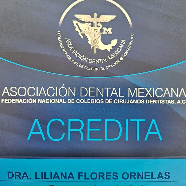 Ampliar imagen: certificate 14