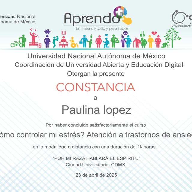 Ampliar imagen: certificate 7