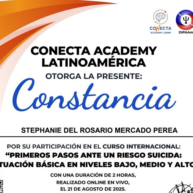 Ampliar imagen: certificate 14