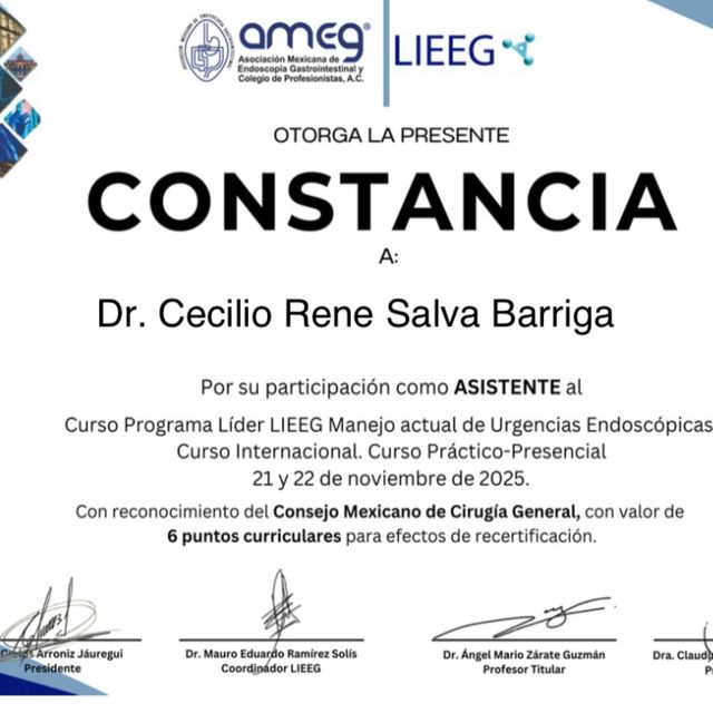 Ampliar imagen: certificate 13
