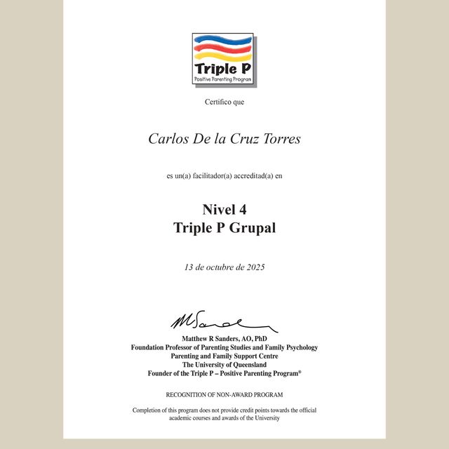 Ampliar imagen: certificate 7