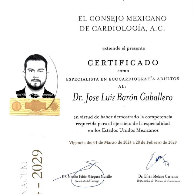 Ampliar imagen: certificate 2