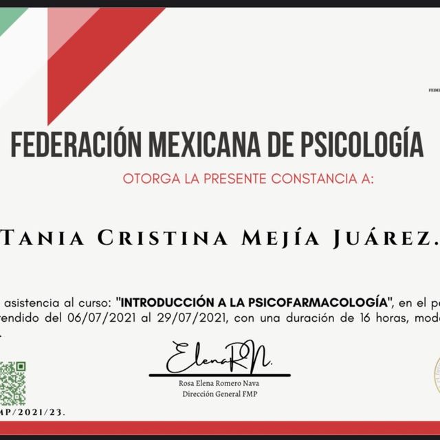 Ampliar imagen: certificate 7