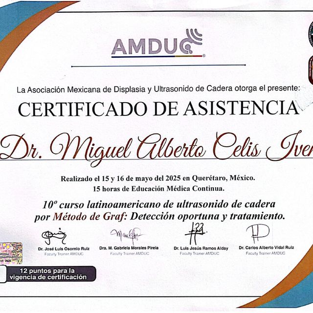 Ampliar imagen: certificate 4