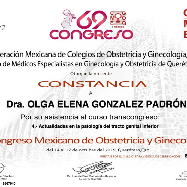 Ampliar imagen: certificate 25