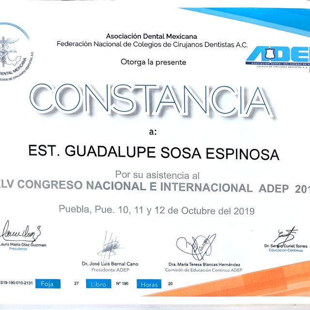 Ampliar imagen: certificate 2
