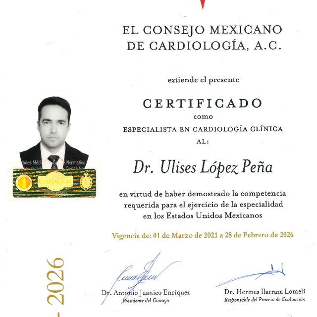 Ampliar imagen: certificate 5