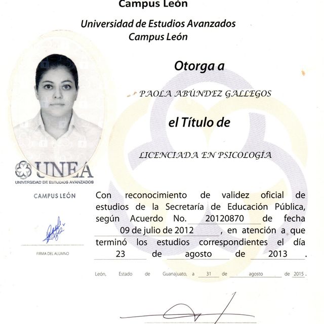 Ampliar imagen: certificate 1