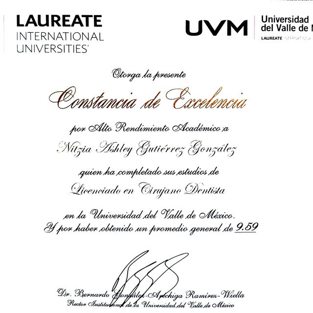 Ampliar imagen: certificate 8