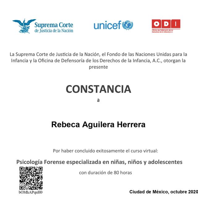 Ampliar imagen: certificate 1