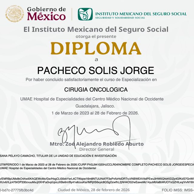 Ampliar imagen: certificate 3
