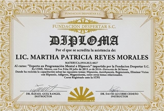 Ampliar imagen: certificate 20