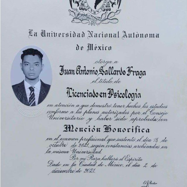 Ampliar imagen: certificate 1