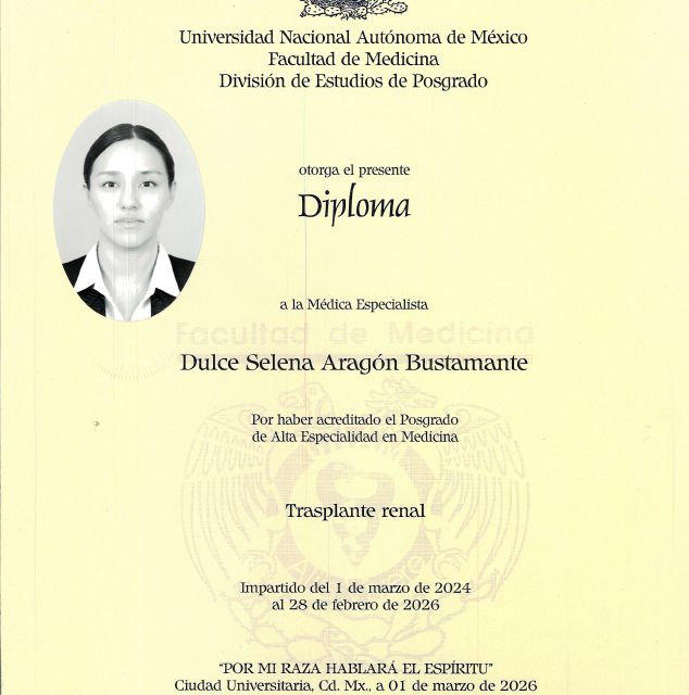Ampliar imagen: certificate 5