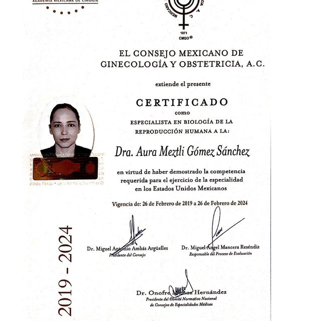 Ampliar imagen: certificate 17