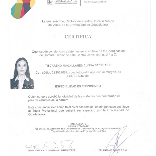 Ampliar imagen: certificate 9