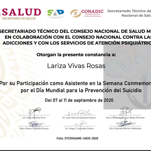Ampliar imagen: certificate 3