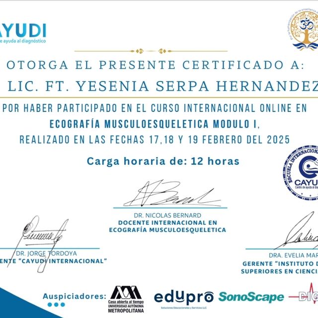 Ampliar imagen: certificate 2