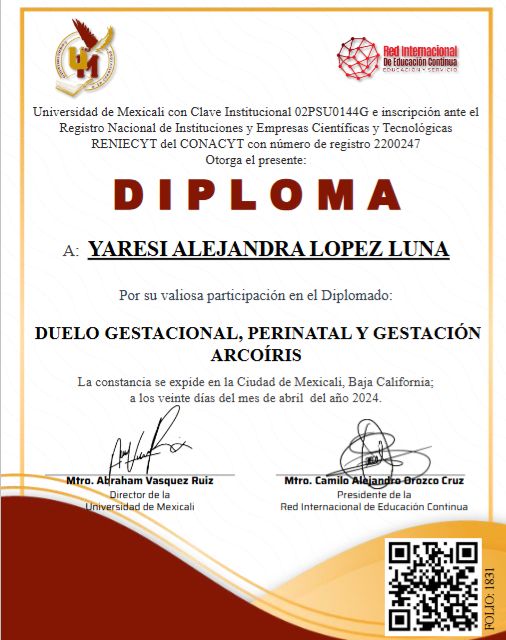 Ampliar imagen: certificate 2