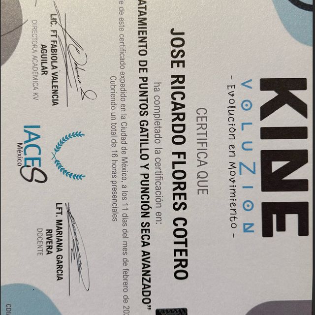 Ampliar imagen: certificate 4