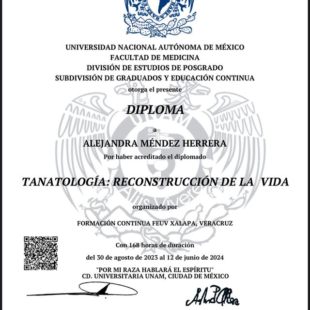 Ampliar imagen: certificate 8